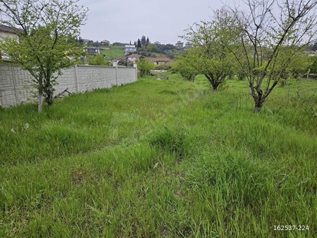 Yalova içerisinde satılık Arsa