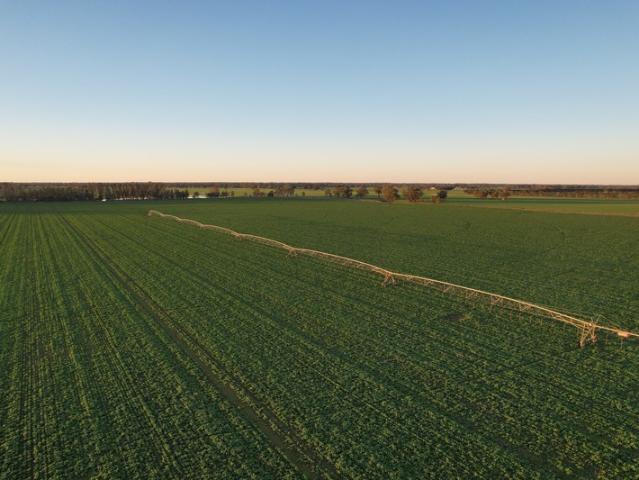 Property for sale in Tongala, Victoria