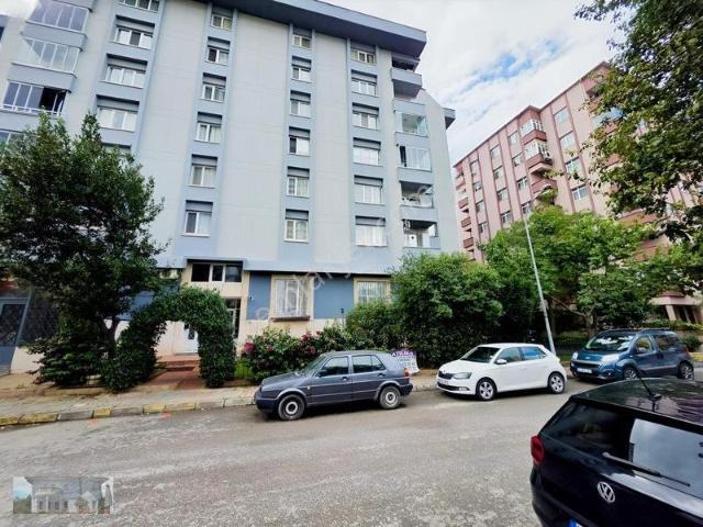 Kalite Sitesi, Kartal içerisinde kiralık mülk