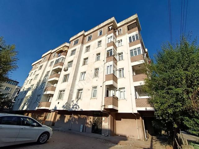 Körfez, Kocaeli içerisinde kiralık mülk