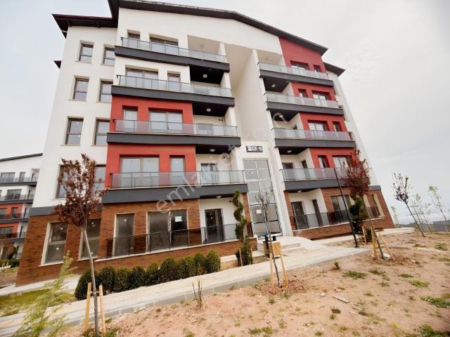 Körfez, Kocaeli içerisinde kiralık mülk