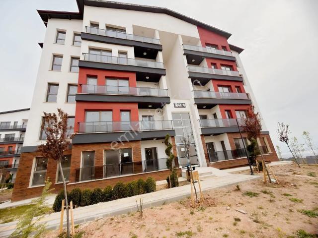 Körfez, Kocaeli içerisinde kiralık mülk