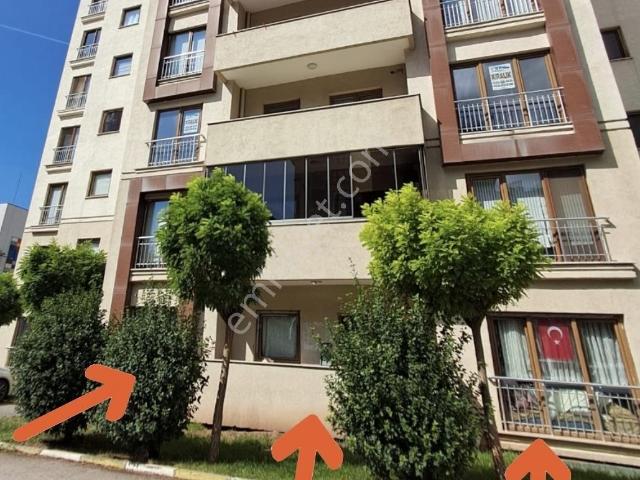 Körfez, Kocaeli içerisinde satılık mülk