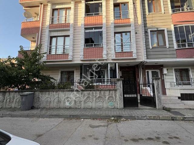 Körfez, Kocaeli içerisinde kiralık mülk