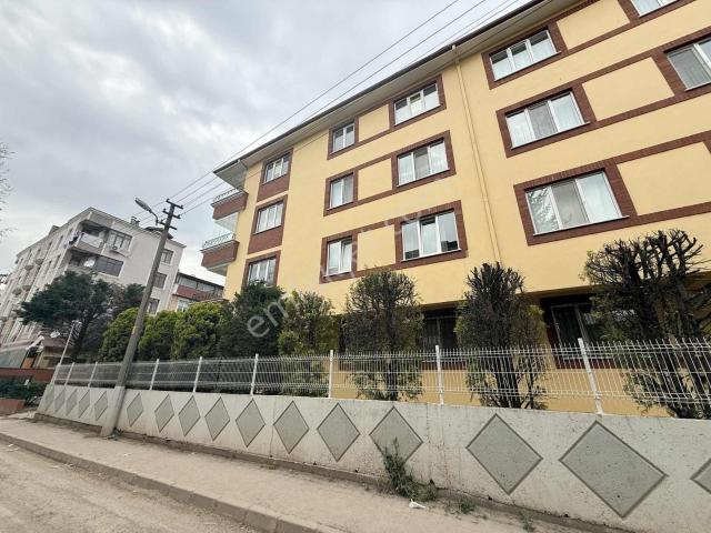 Körfez, Kocaeli içerisinde kiralık mülk