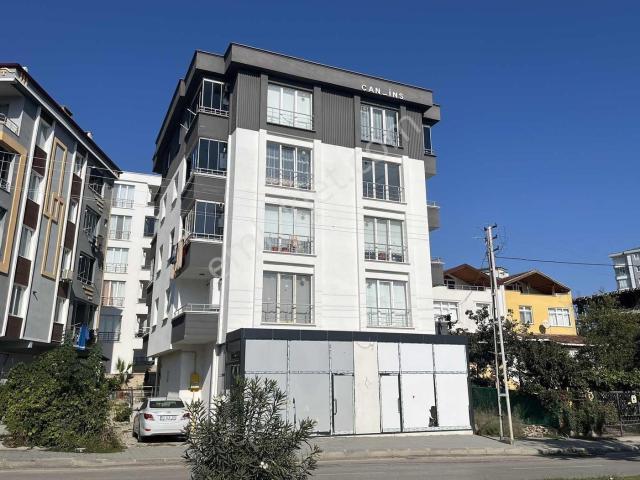 Kurupelit, Atakum içerisinde kiralık mülk