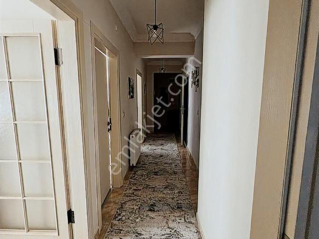 Körfez, Kocaeli içerisinde kiralık mülk
