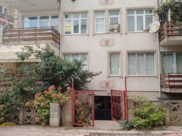 Mimar Sinan Mahallesi, Körfez içerisinde kiralık mülk