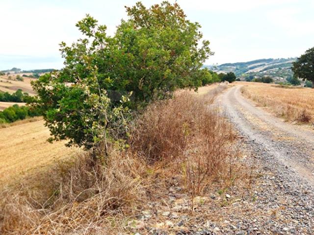 Körfez, Kocaeli içerisinde satılık mülk