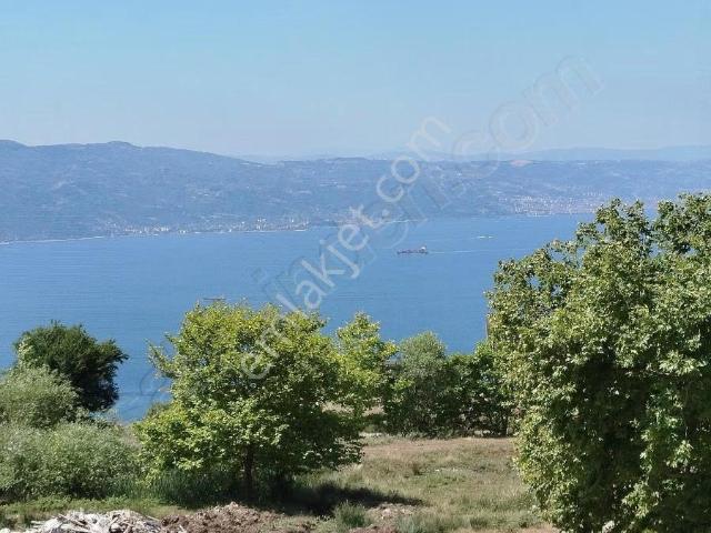 Körfez, Kocaeli içerisinde kiralık mülk