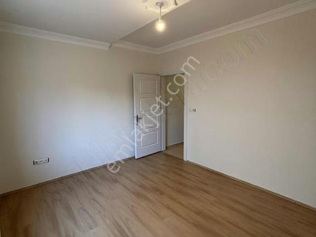 Körfez, Kocaeli içerisinde kiralık mülk