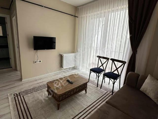 Atakum, Samsun içerisinde kiralık mülk