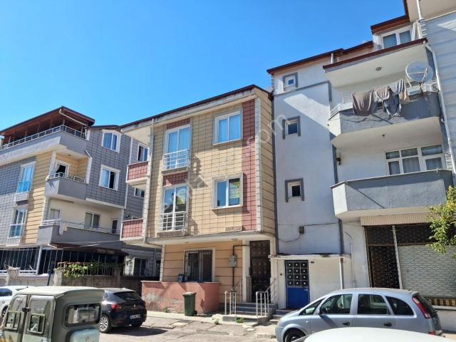 Körfez, Kocaeli içerisinde kiralık mülk