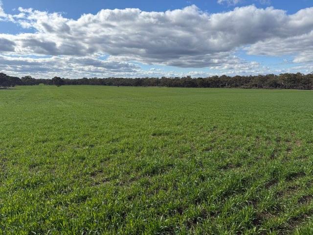 Cottage for sale in Lower Norton, Victoria