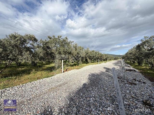 Torbali, İzmir içerisinde satılık Arsa