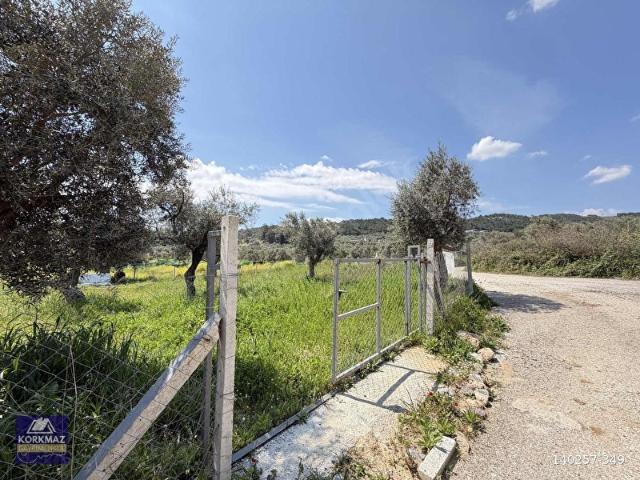Torbali, İzmir içerisinde satılık Arsa
