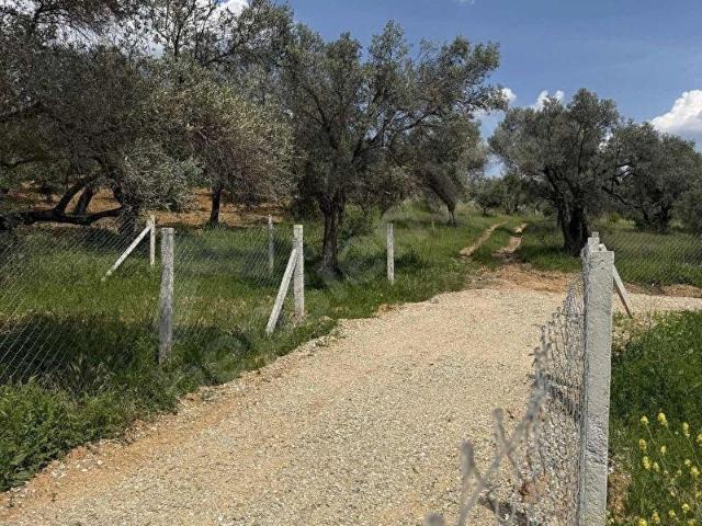 Torbali, İzmir içerisinde satılık Arsa
