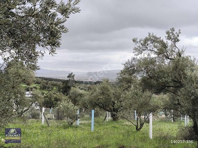 Torbali, İzmir içerisinde satılık mülk