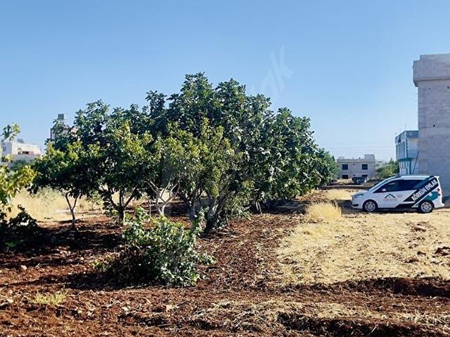 Oğuzeli, Gaziantep içerisinde satılık Arsa