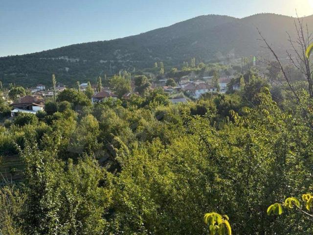 Sülekler, Korkuteli içerisinde satılık mülk