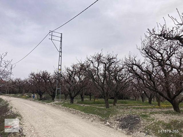 Korkuteli, Antalya içerisinde satılık Arsa
