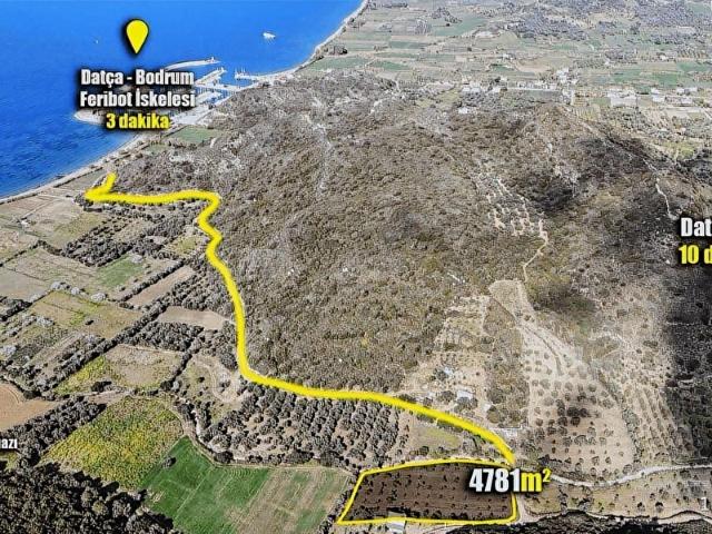 Datça, Muğla içerisinde satılık mülk
