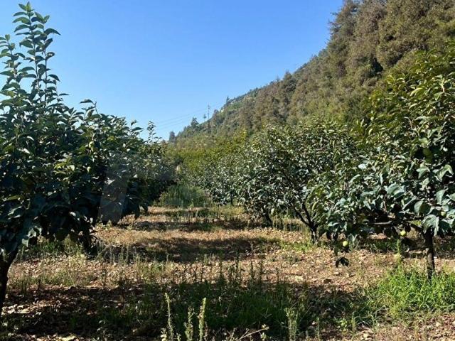 Çamliyayla, Mersin içerisinde satılık mülk