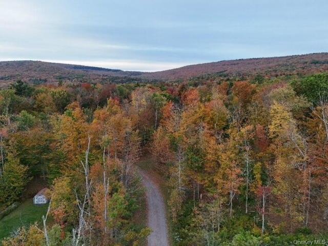 Land for sale in East Jewett, New York