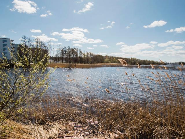 Lägenhet hyra i Bromölla, Skåne