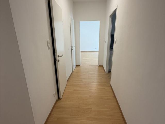 Wohnung kaufen in Korneuburg, Bezirk Korneuburg