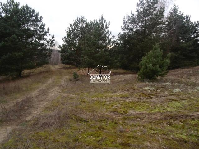 Grunt na sprzedaż w Koronowo, Kujawsko-pomorskie