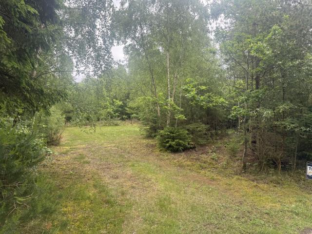 Grund til salg i Brønderslev-Dronninglund