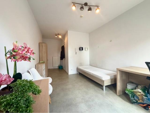 Kamer location à Kortrijk