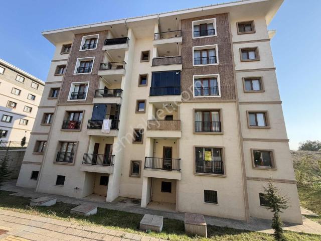 Korucuk Mahallesi, Adapazarı içerisinde kiralık mülk