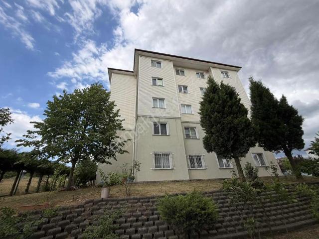 Adapazari, Sakarya içerisinde kiralık mülk