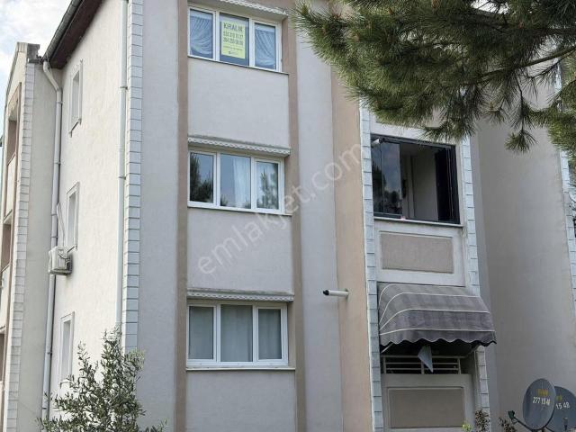 Adapazari, Sakarya içerisinde kiralık mülk