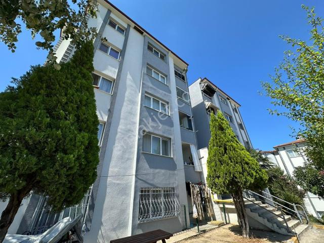 Adapazari, Sakarya içerisinde kiralık mülk