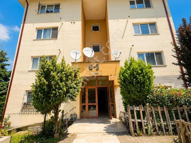 Adapazari, Sakarya içerisinde kiralık mülk