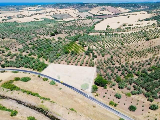 Ezine, Çanakkale içerisinde satılık Arsa