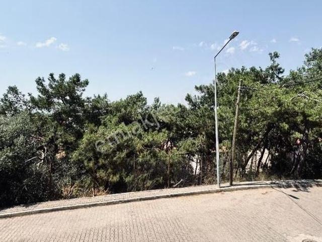 Balçova, İzmir içerisinde kiralık mülk