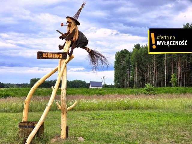 Grunt na sprzedaż w Świętokrzyskie