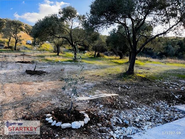 Kösedere Mahallesi, Karaburun içerisinde satılık Arsa