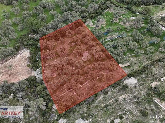 Kösedere Mahallesi, Karaburun içerisinde satılık mülk