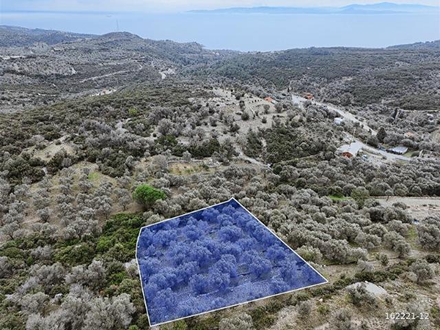 Karaburun, İzmir içerisinde satılık Arsa