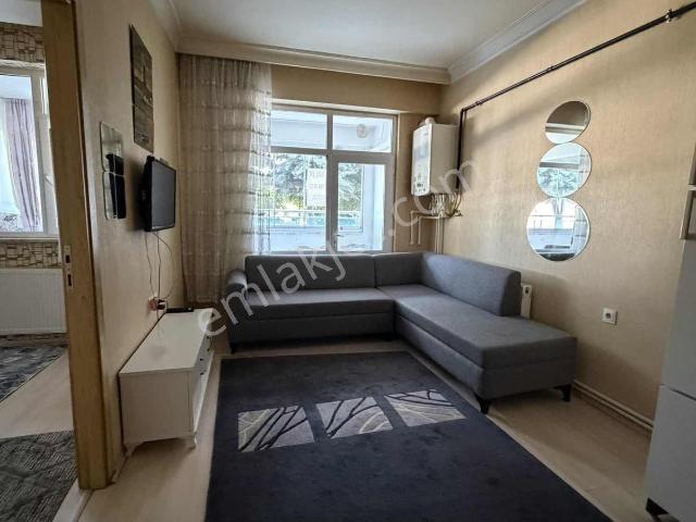 Selçuklu, Konya içerisinde kiralık mülk