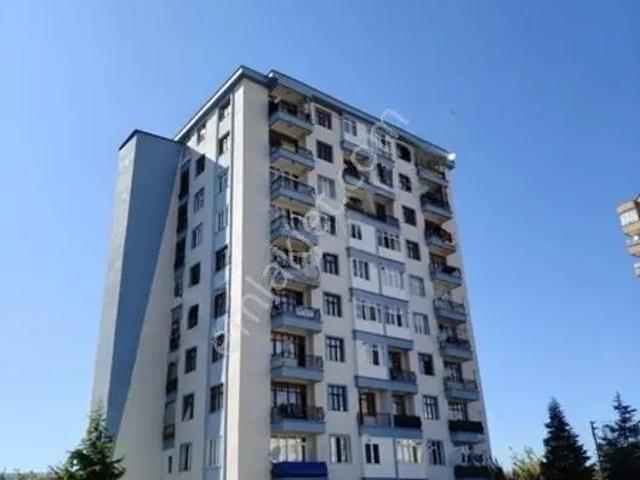 Kosova Mahallesi, Selçuklu içerisinde kiralık mülk