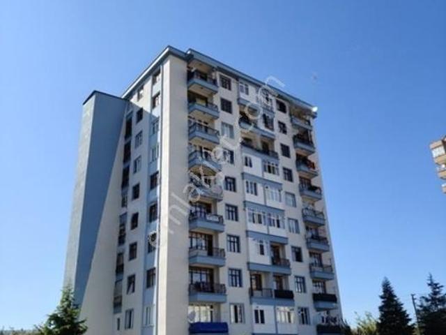 Kosova Mahallesi, Selçuklu içerisinde kiralık mülk
