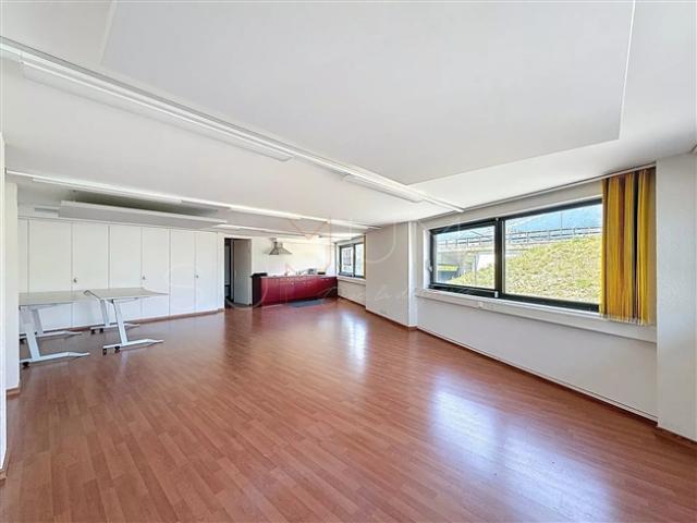 Wohnung mieten in Les Mayens-de-Sion, Wallis