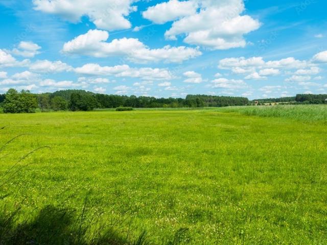 Grunt na sprzedaż w Koszalin, Zachodniopomorskie