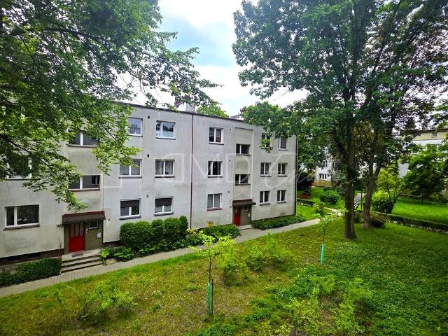 Mieszkanie do wynajęcia w Katowice, Śląskie